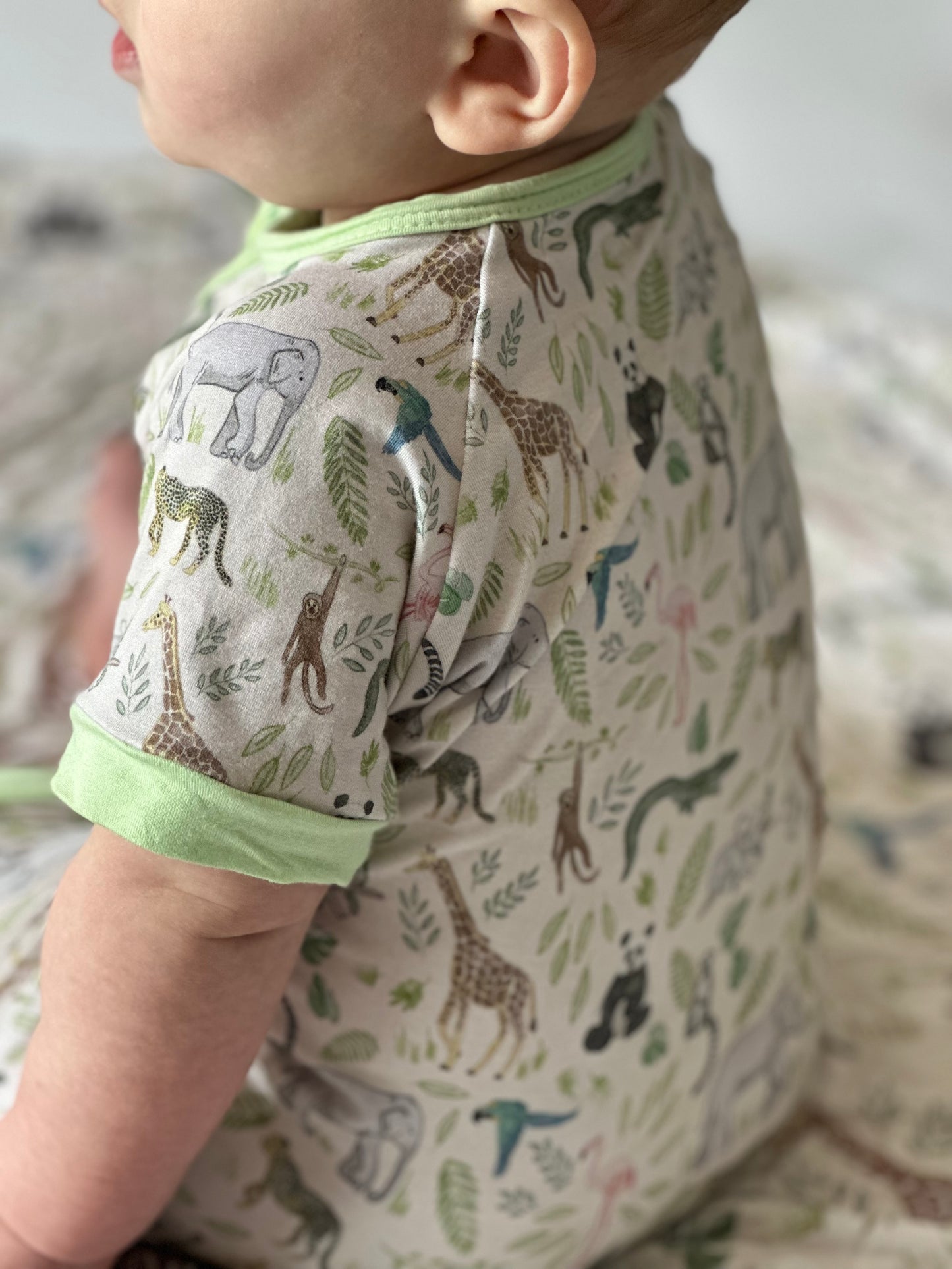 Wild Wonders Shorties